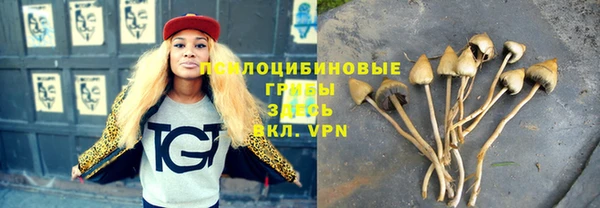 спайс Алексин