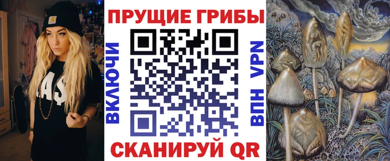 где купить наркотик  Козловка  Галлюциногенные грибы Psilocybine cubensis 