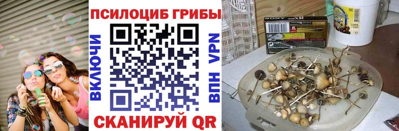 Галлюциногенные грибы Psilocybine cubensis Козловка
